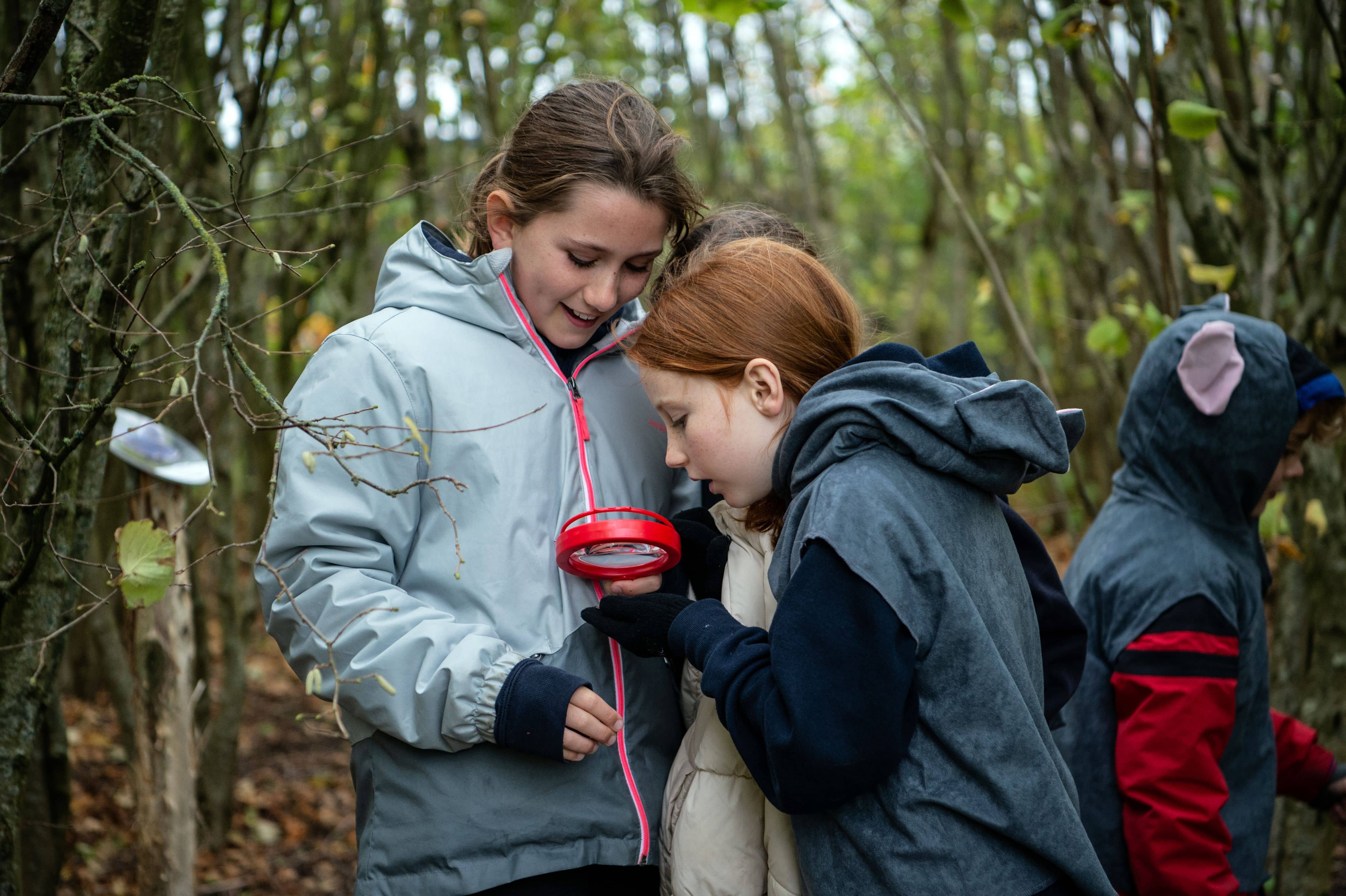 Free nature workshops at Winchester Science Centre