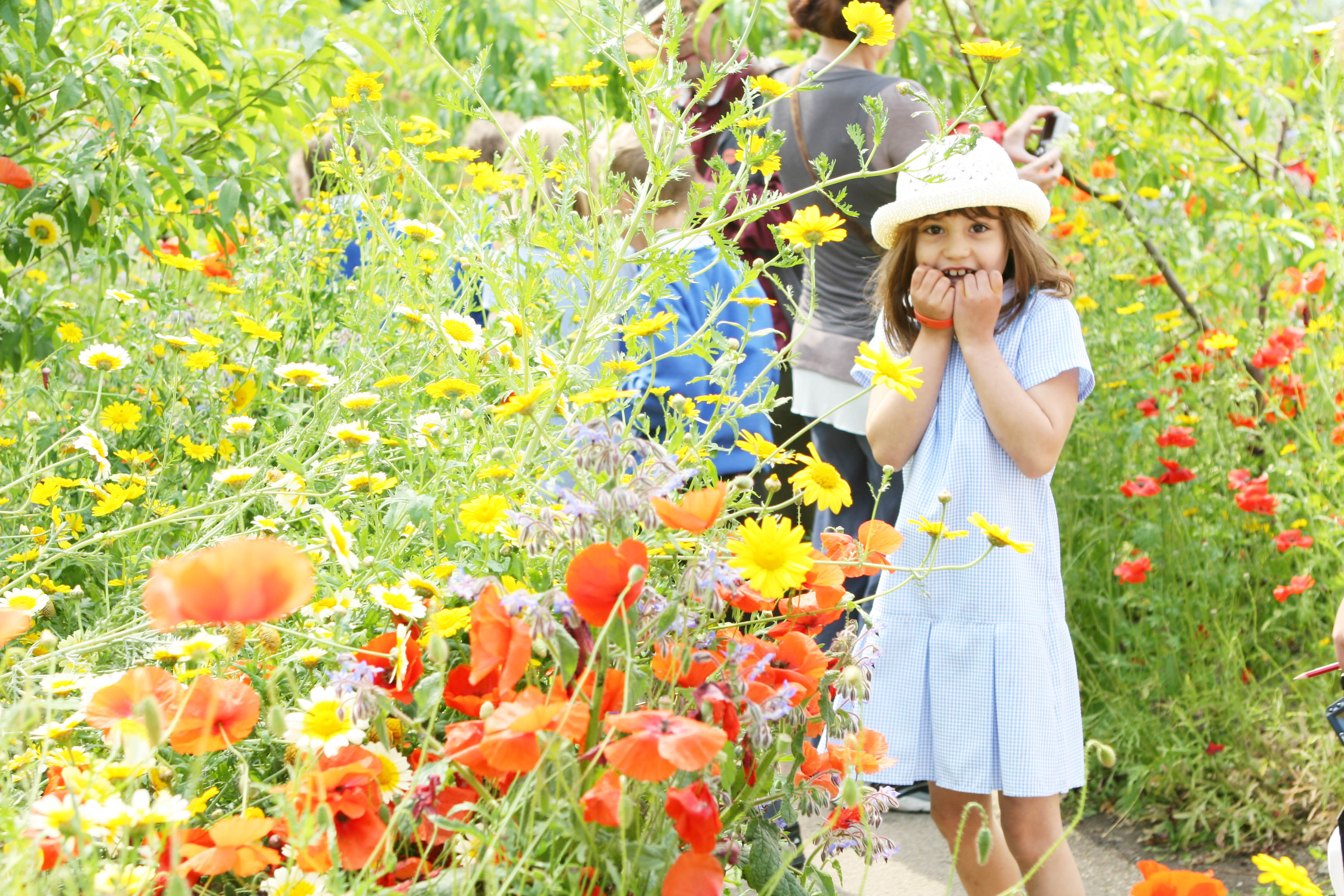 Eden Project