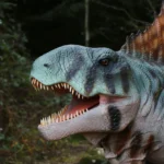 AW53722-scaled