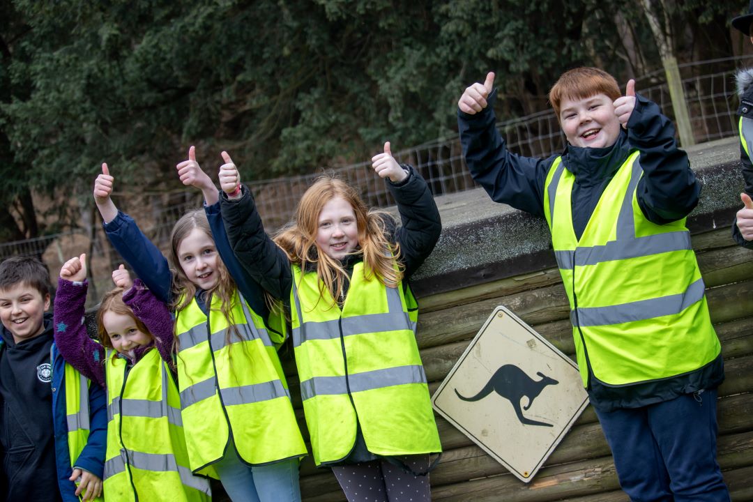 School Group Children arms in the air Wallaby Enclosure