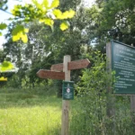 Signs-scaled