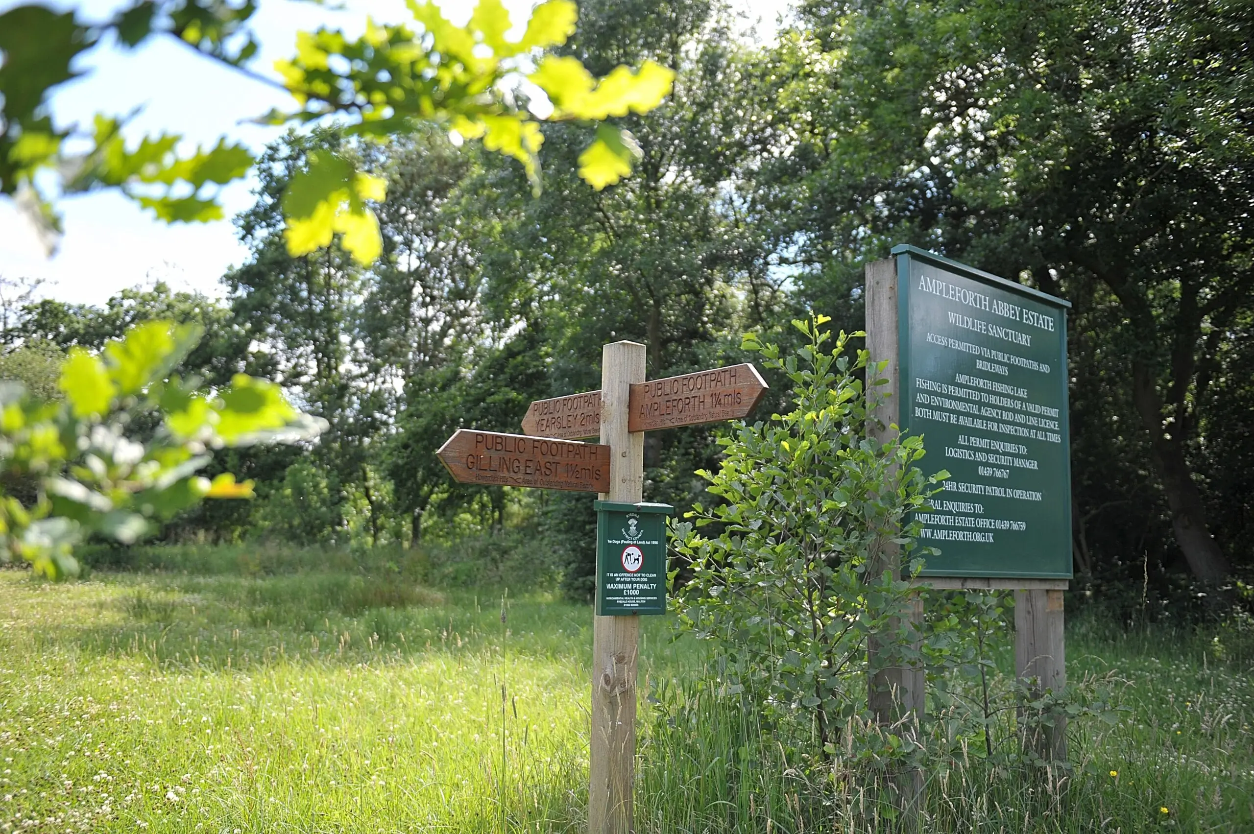 Signs-scaled