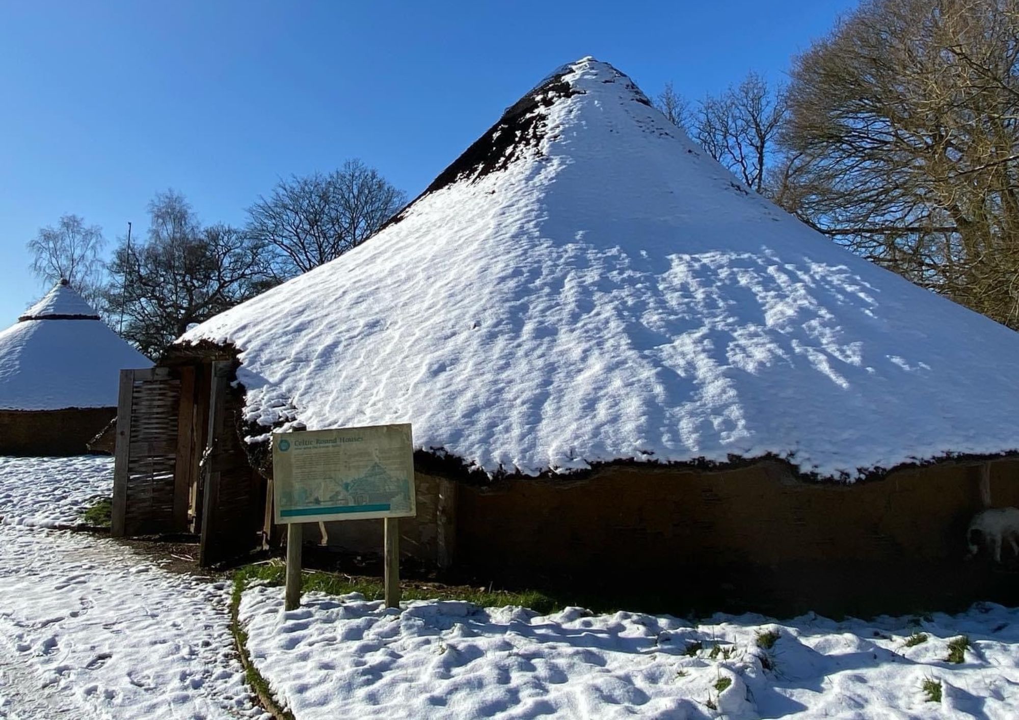 Snowy Chieftain Roundhouse