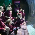 014 - Bristol Aquarium - 13 Mar 2026 - NZ8_2562 - LEE PULLEN PHOTOGRAPHY