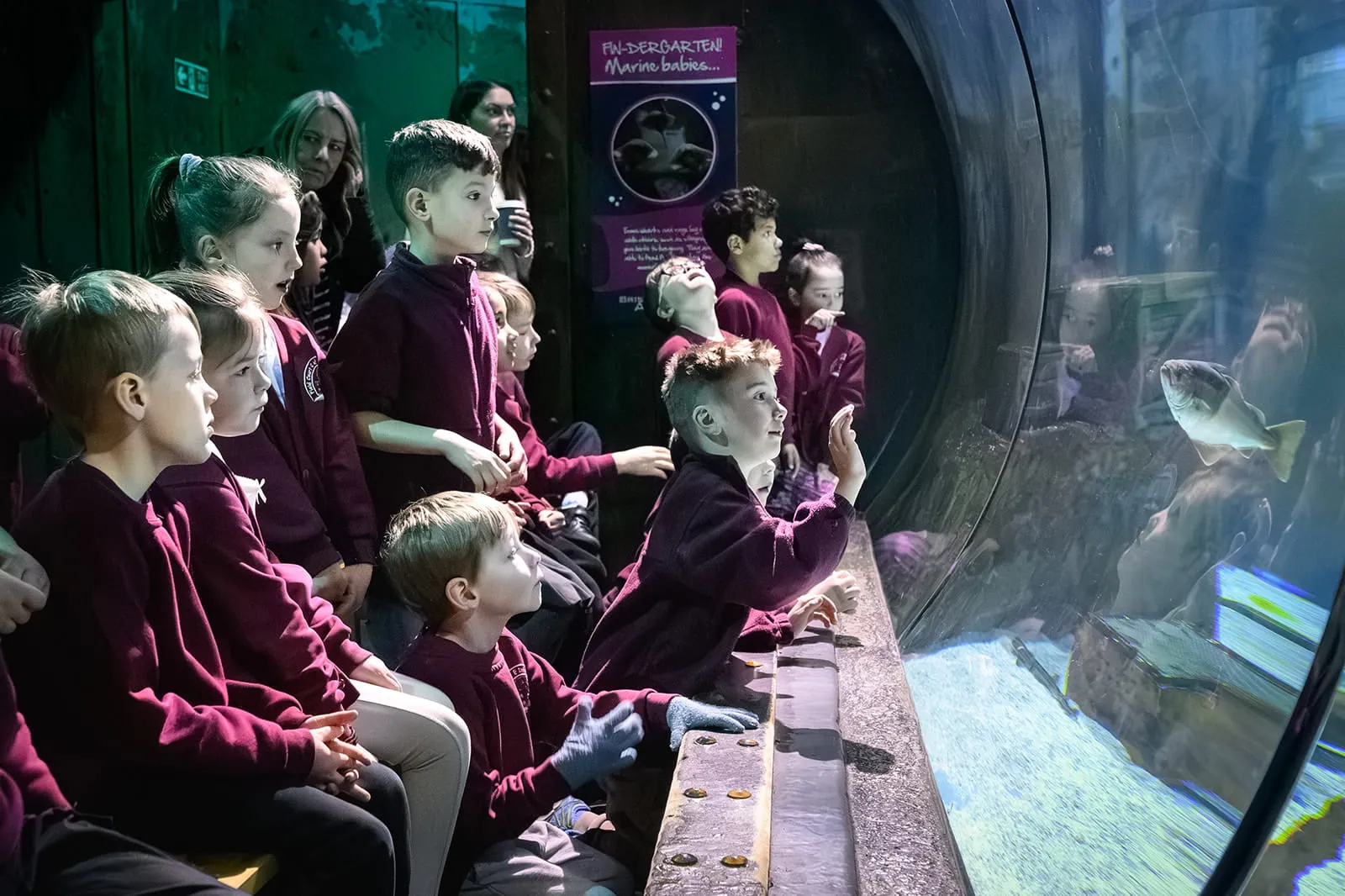 014 - Bristol Aquarium - 13 Mar 2026 - NZ8_2562 - LEE PULLEN PHOTOGRAPHY