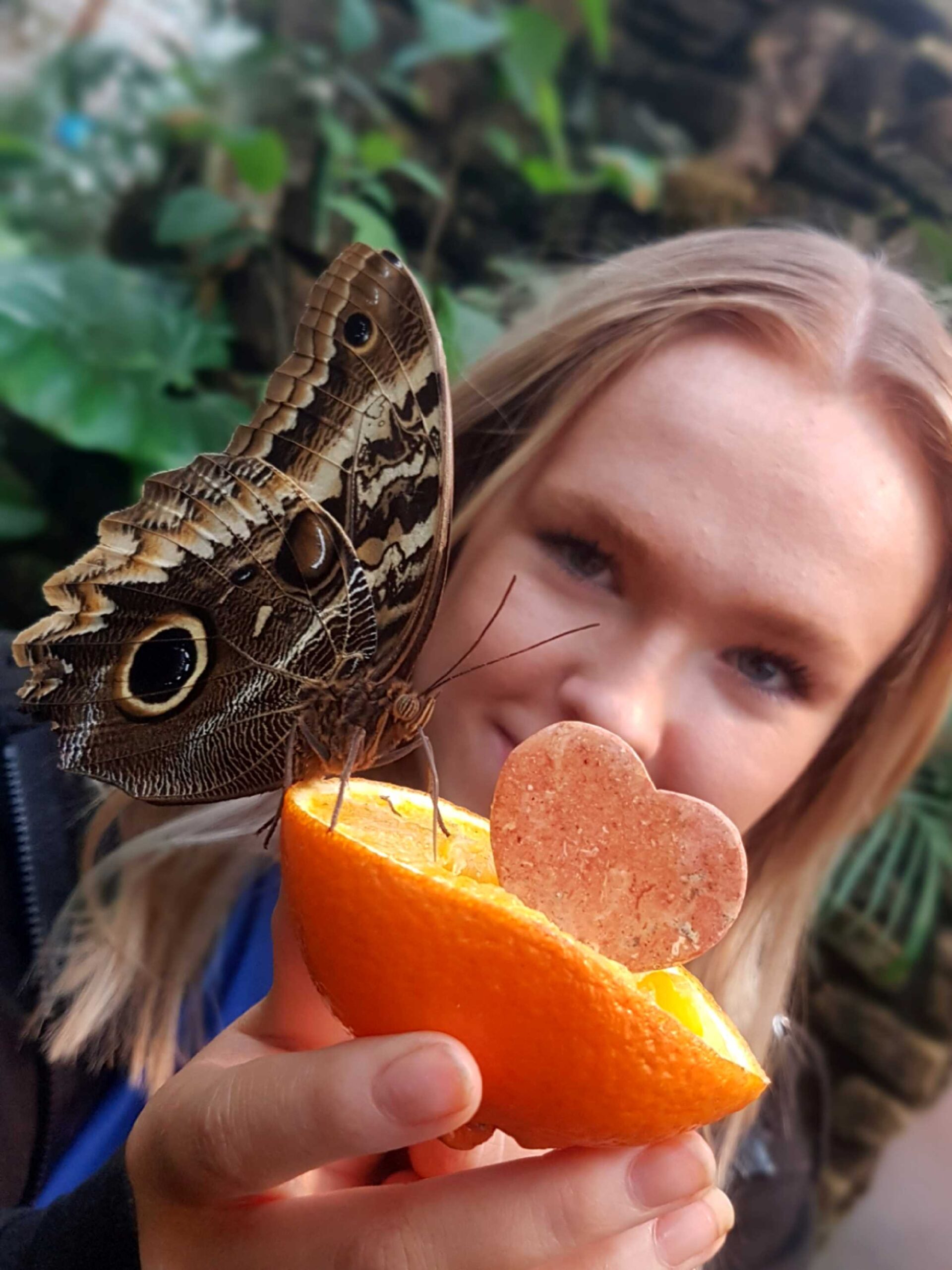 Free marble heart for every visitor who pledges their love at Stratford Butterfly Farm!