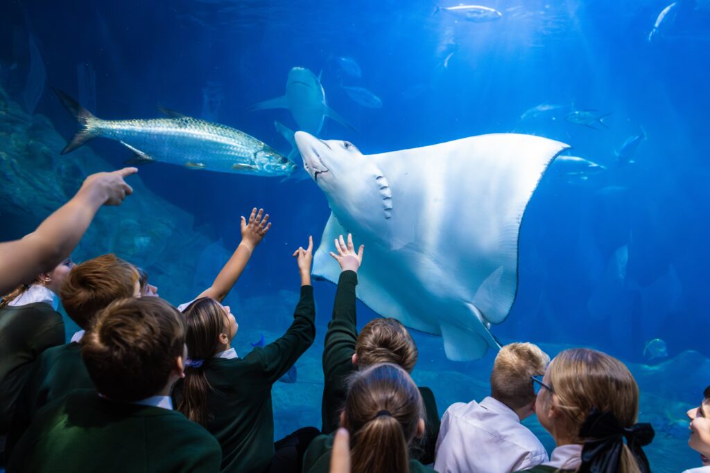 ocean conservation