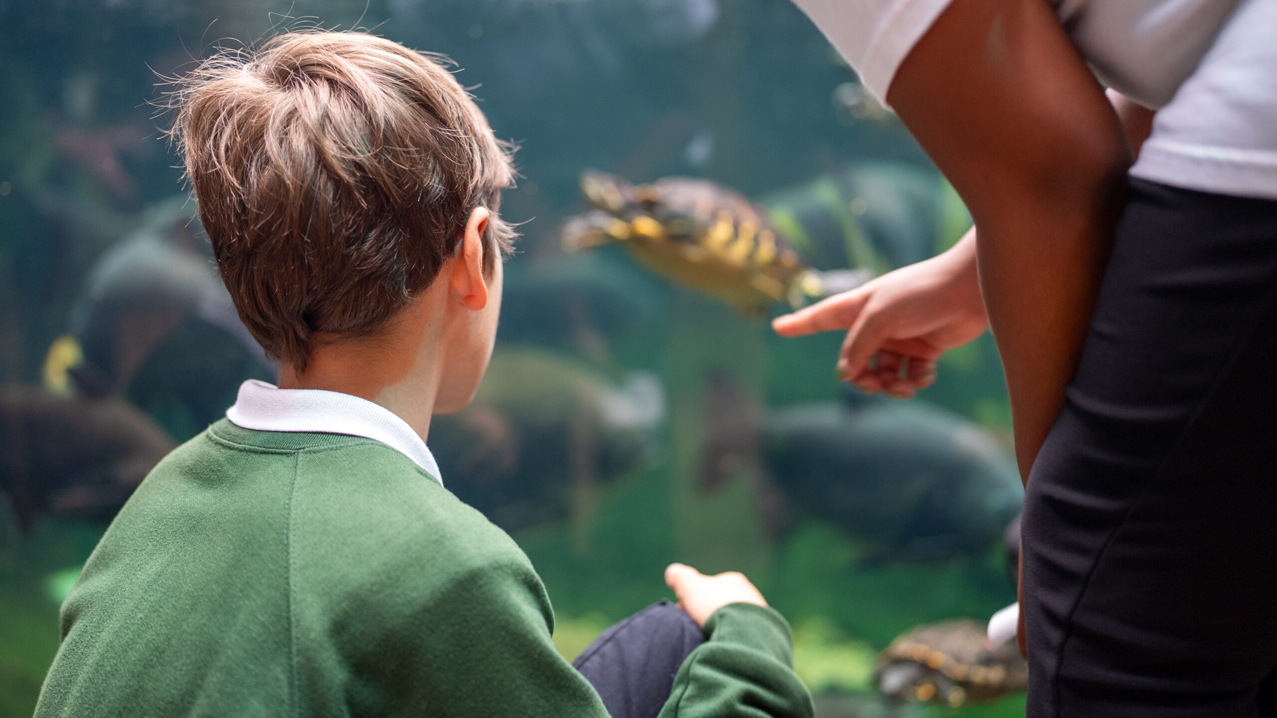 Bristol Aquarium Blue Abyss Safari tour Activity Pack