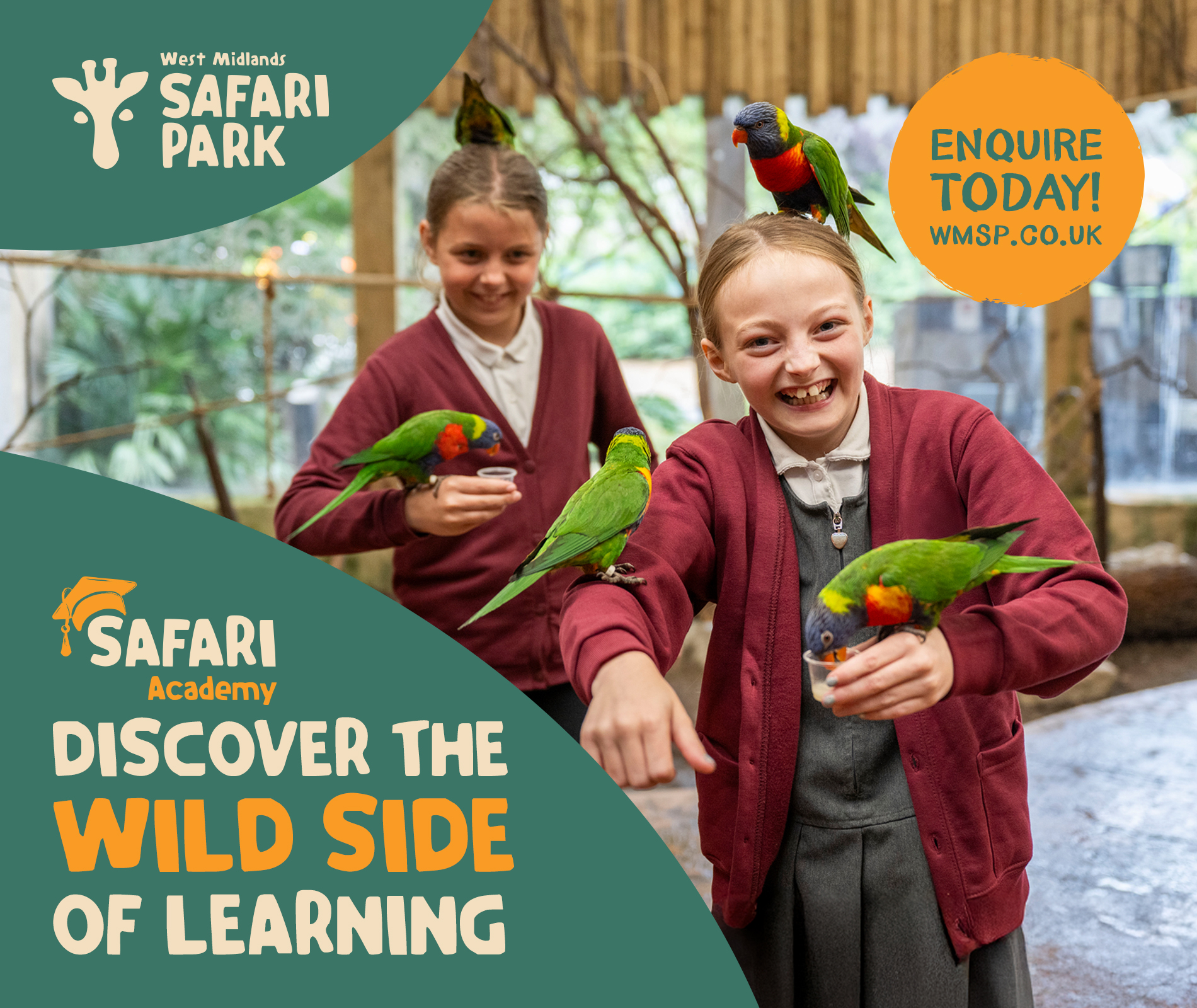 Educational Web Banner