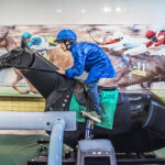 National Horseracing Museum by Marc Atkins / Art Fund 2017
