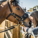 National Horseracing Museum by Marc Atkins / Art Fund 2017