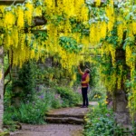 CAG_Neewby_Hall_Flowers_Gardens-019-scaled