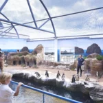 Enclosure_37690148v2-min-scaled