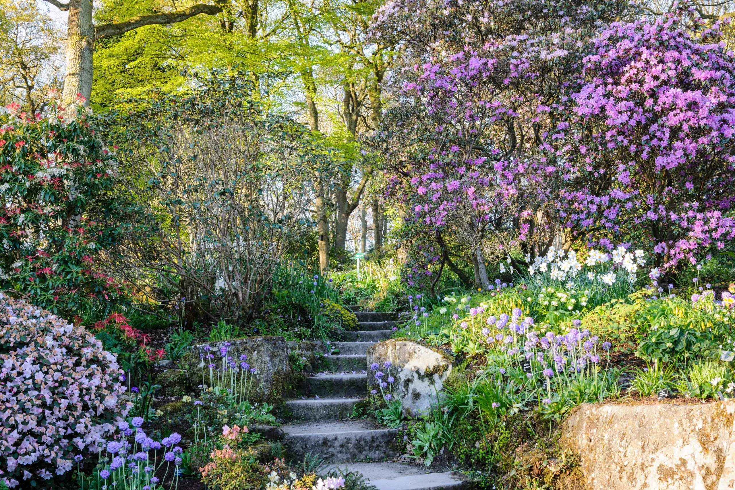 Press-JI_250417_RHSHarlowCarr_014-scaled