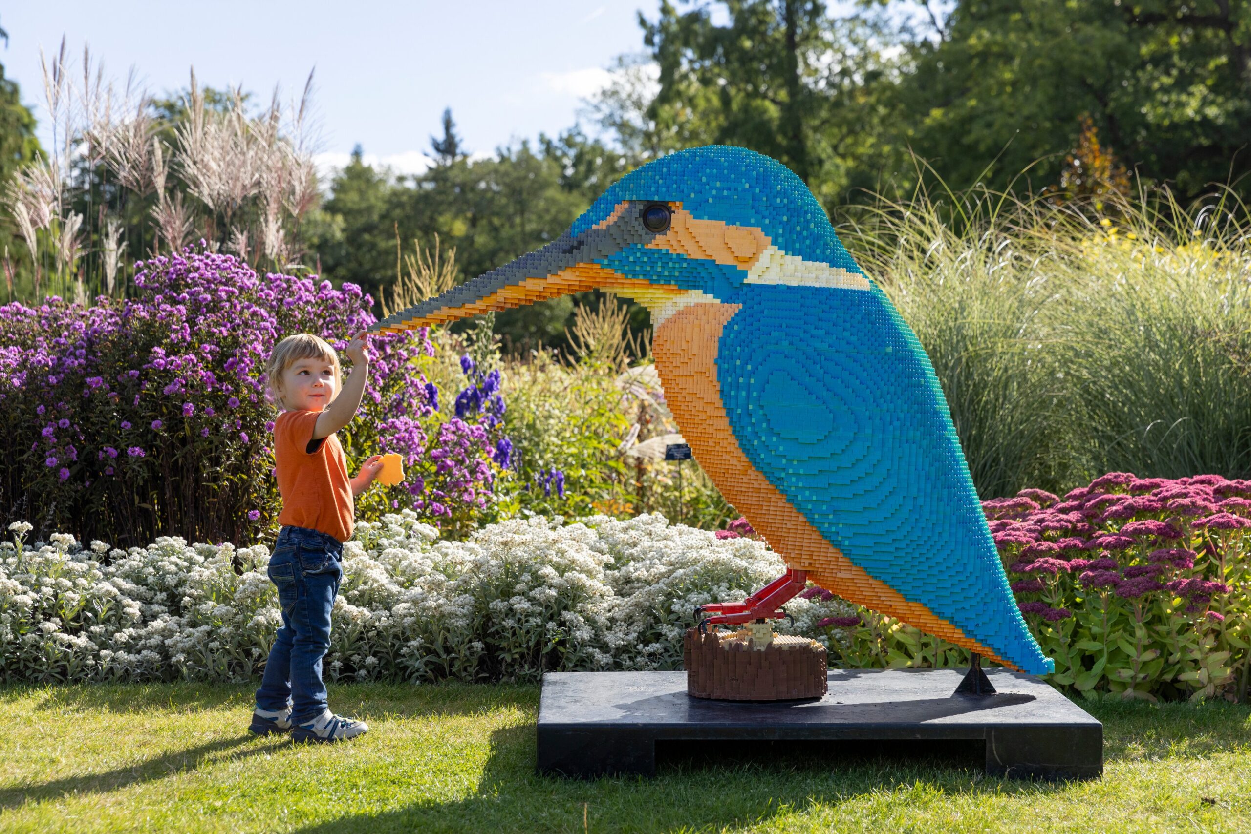 RHS Harlow Carr - Lego Kingfisher Lifestyle Shoot - September 2025 - Teddy & Mum - Interacting With Kingfisher