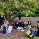 Sheffield-Botanic-Garden-Cropped
