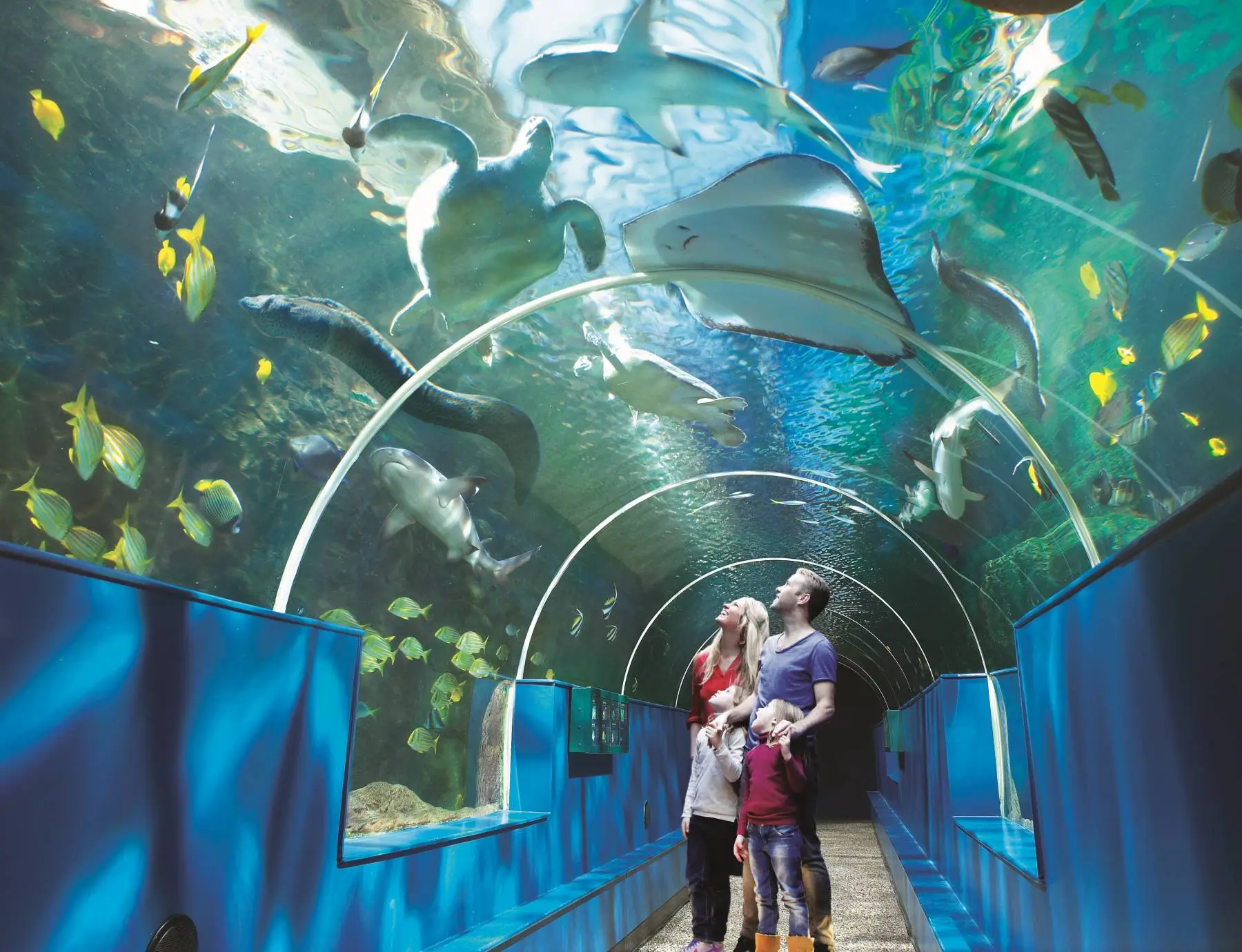 TUNNEL-SHOT-MASSIVEFAMILY-1