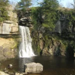 thornton-force-3-002-1480591097