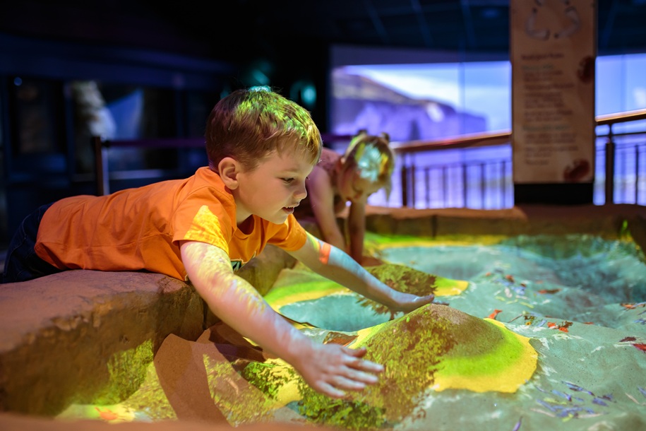 Cool Seas- Sandpit