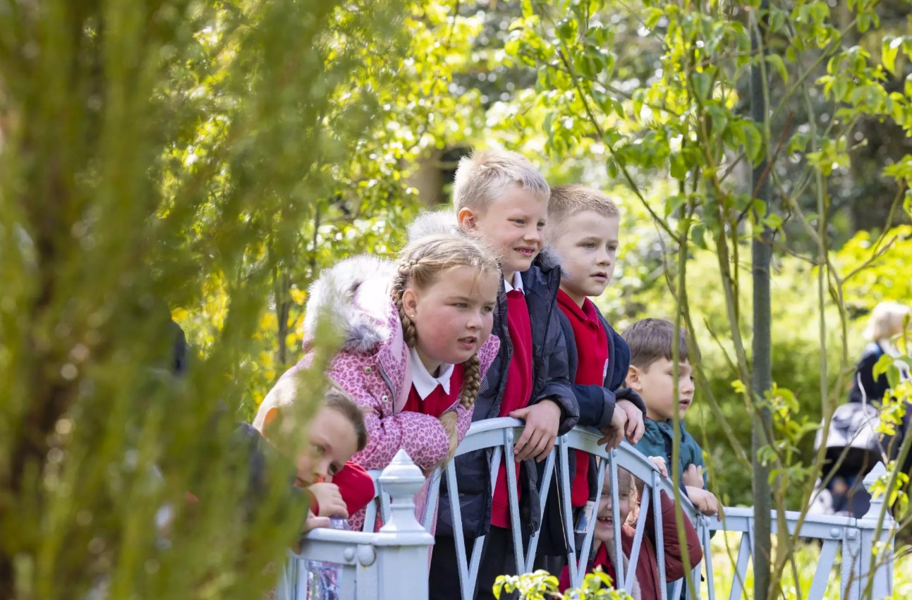 School-in-garden