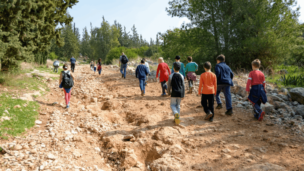 Summer School Trip Ideas