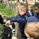 kids and goat