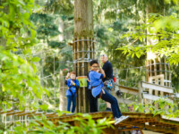 A Thrilling School Trip with Go Ape Treetop Adventure