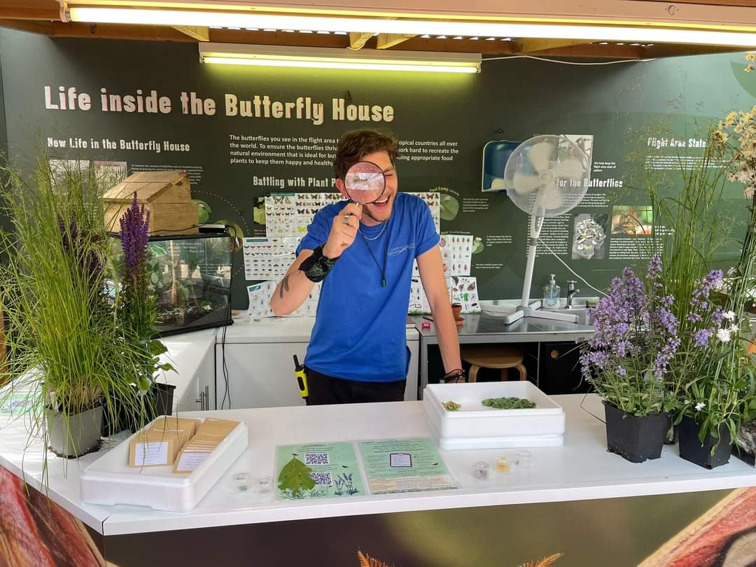 Make a green promise to protect nature at Stratford Butterfly Farm