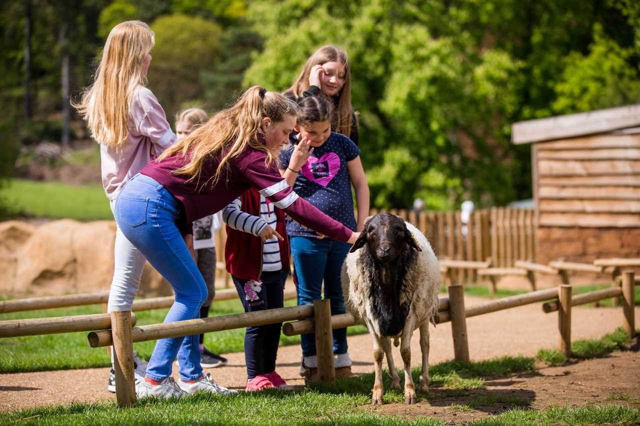 safari park school trip