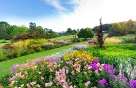 RHS Garden Harlow Carr