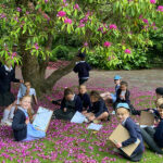 Sheffield Botanical Gardens Education Programme