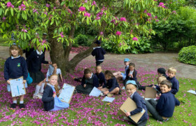 Sheffield Botanical Gardens Education Programme