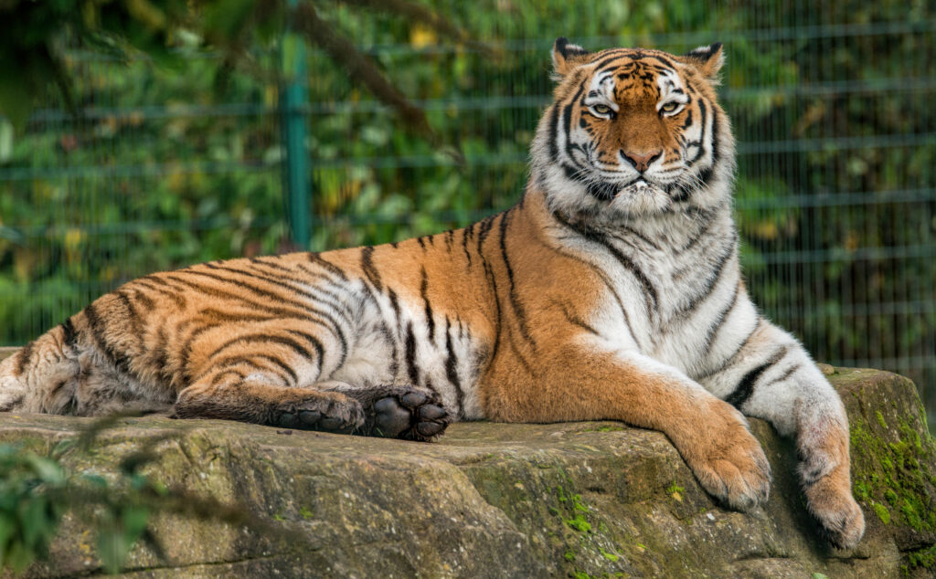 Blackpool Zoo - Educational Visits Uk